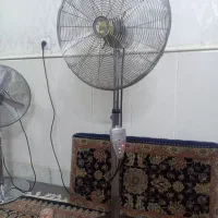 پنکه