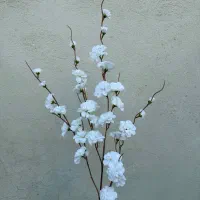 شاخه شکوفه حلزونی ۵بازو