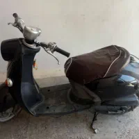 پاکشتی سالم