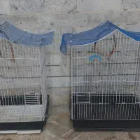قفس پرنده