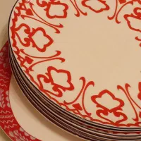 یکدست پلو خوری و دیس خارجی نو
