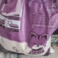 خاک و بلیچه و باکس گربه