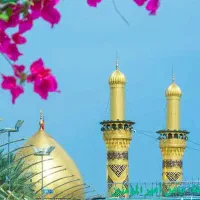 تور کربلا ،مشهد، زمینی و هوایی و حج عمره و تمتع