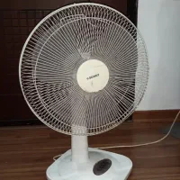 پنکه سانی