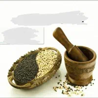 آموزش صفر تا صد طب سنتی به صورت رایگان