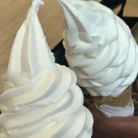 انواع بستنی  سنتی و شیر موز با شیر بز فرانسوی