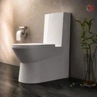 چینی بهداشتی گلسار