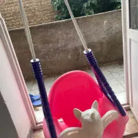 تاب بچگانه