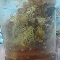 عسل زوروا