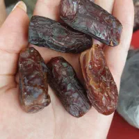 خرما پیارم به قیمت نخلستان