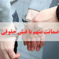 فیش حقوقی،وکیل،برای دادگاه.کارمندرسمی.