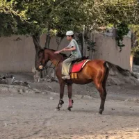 گروه سرود کوثر رحمت اصفهان