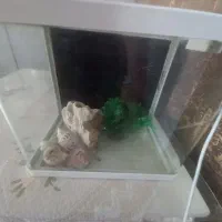 آکواریوم با لامپ سالم