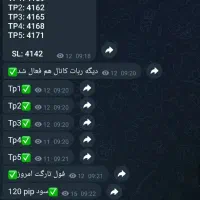 کانال سیگنال فارکس با تضمین سود