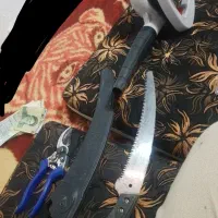 قیچی باغبونی...