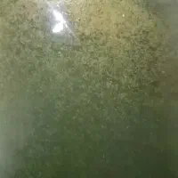 لارو کپور و ....