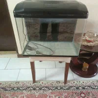 آکواریوم سالم مرتب