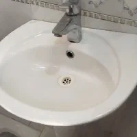 دستشور باشیر