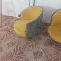 تگ چستر صدفی