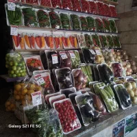 کارگر ساده وماهر خانم و اقا