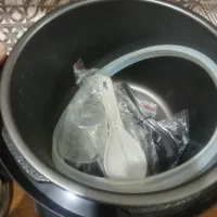 پلوپز بوش