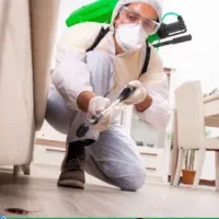 سمپاشی تضمینی حشرات موزی