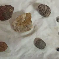 سلام.. تعداد 9 عدد سنگ یکجا بفروش میرسد.