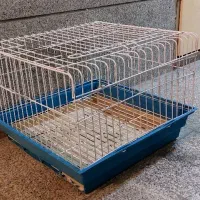 قفس خرگوش