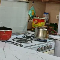 فرگاز سینجر