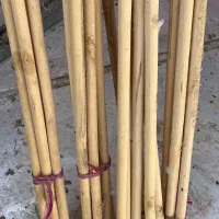 چوب دوبل تیرکی کبوتر