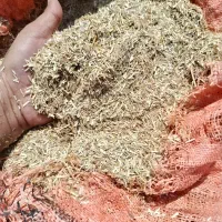 کاه نرم گندم خالص