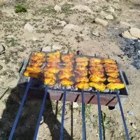 استخدام
