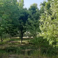 زمین-کشاورزی