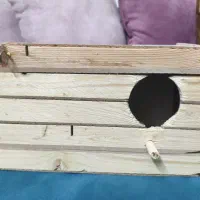 لونه در نو عروس