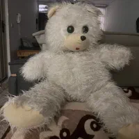 خرس و بالشت