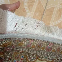 پادری|پادری|رشت, نیروی دریایی|دیوار