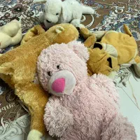 انواع مختلف عروسک