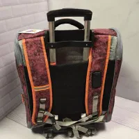 ترولی وکوله حمل سگ و گربه