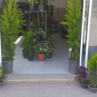 گلسرای برتر گلبهار