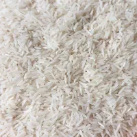 برنج فجر سوزنی