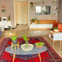 همخونه-میشم-خانه-ندارم-یا-اجاره-پایین