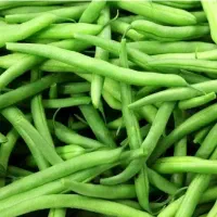 لوبیا سبز تر و تازه