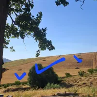 زمین-کشاورزی-دیم