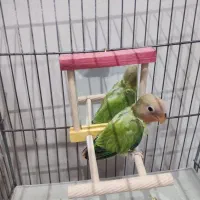 وسایل پرنده