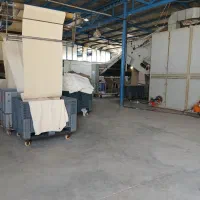 نیروی کار