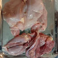 رون و سینه گوشت بوقلمون عمده و جزئی