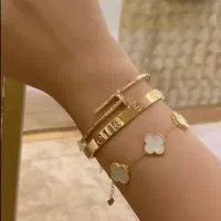 دستبند گم شده(ونکلیف)
