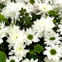 پرستاری کودک