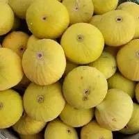 انجیر موجوده
