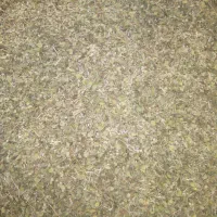 آویشن کوهی